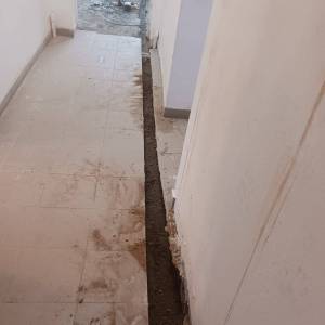 WhatsApp_Image_2026-03-28_at_15.17.07_original_copy_1