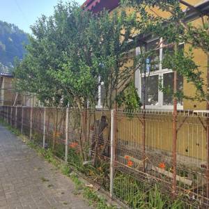 WhatsApp_Image_2026-03-28_at_15.17.08_6_original_copy_2